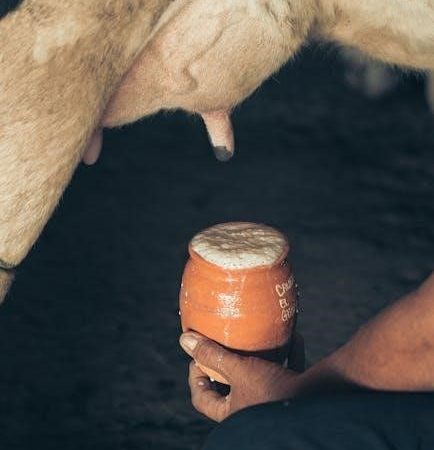 crane cow humidifier manual