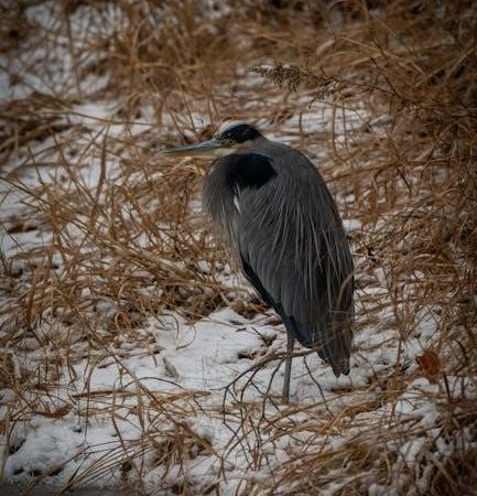 survival at auschwitz pdf