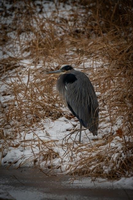 survival at auschwitz pdf