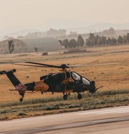 helicopters in urban warfare 2024 pdf