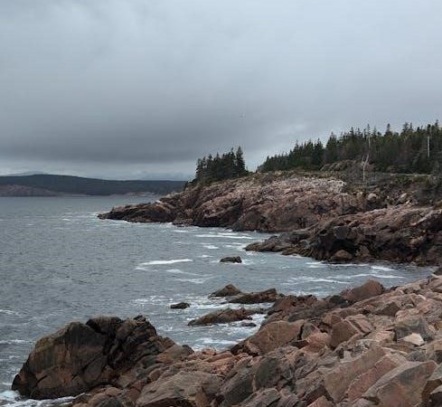 rental application form nova scotia